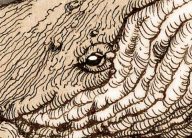 Benjamin Mitchley - Whale - detail 3
