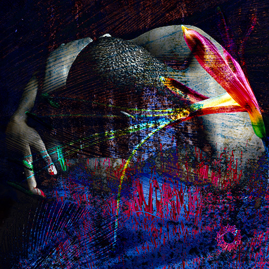 Christopher Jeauhn Bayne - Mosaic F4 - artwork image