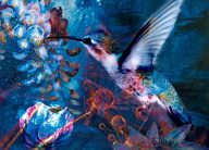 Christopher Jeauhn Bayne - Hummingbird - detail 1